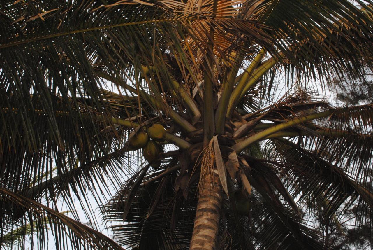 Rainbow Beach Resort Sanyang Exterior photo