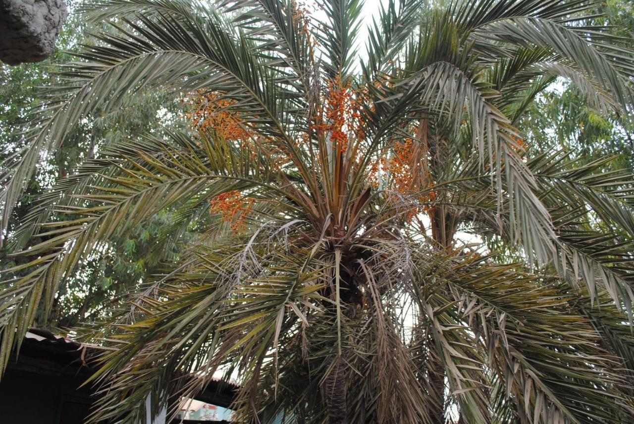 Rainbow Beach Resort Sanyang Exterior photo